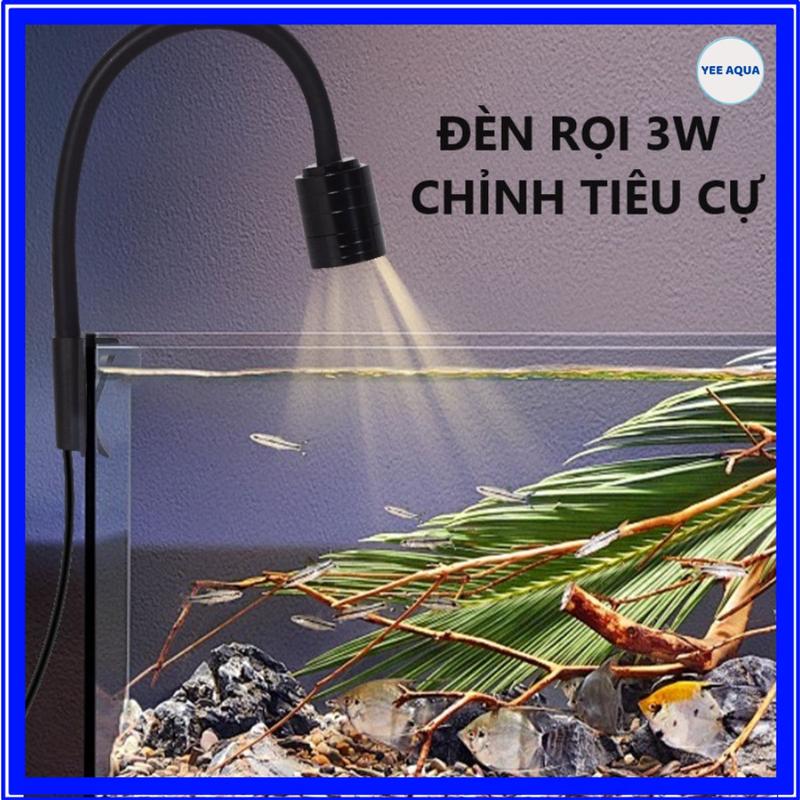 Đèn Rọi Bể Cá Thủy Sinh 3w-5w Tùy Chỉnh Tiêu Cự, Dành Cho Bể Biotope, Gom Và…