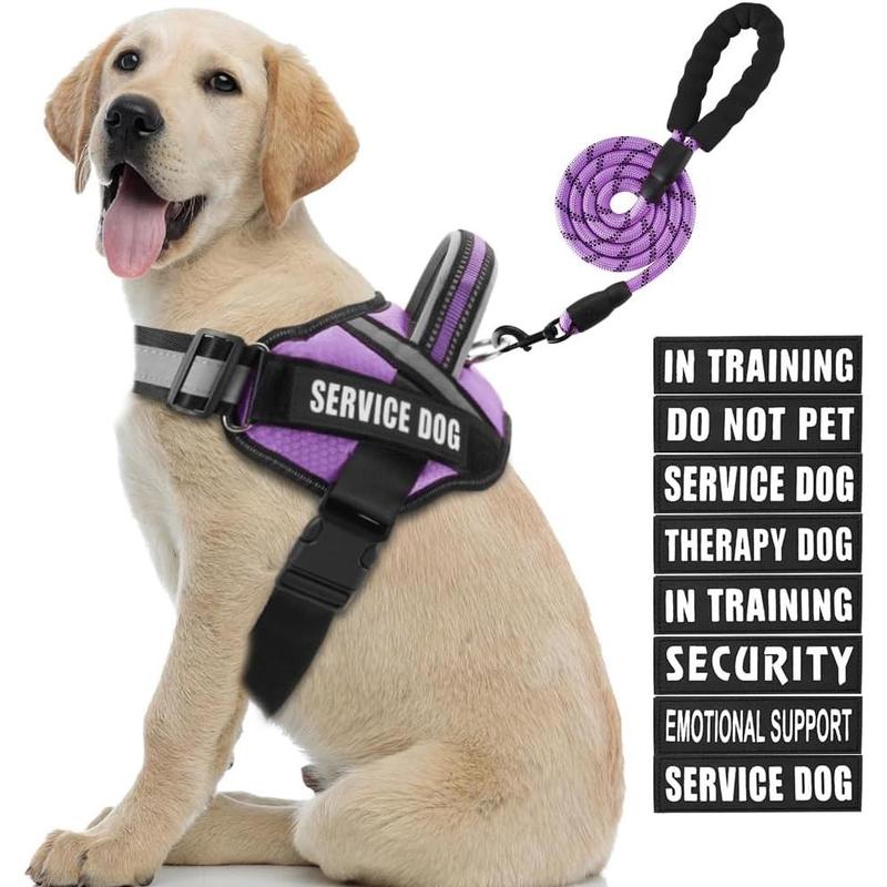 Extra small service dog vest best sale