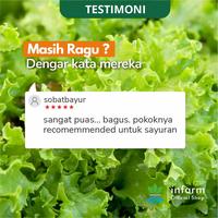 Gambar INFARM - AB Mix Sayuran Daun 1000L Nutrisi Hidroponik Premium , Selada & Sawi Cepat Panen - AB MIX SAYUR 1000 dari Infarm Kota Surabaya 3 Tokopedia