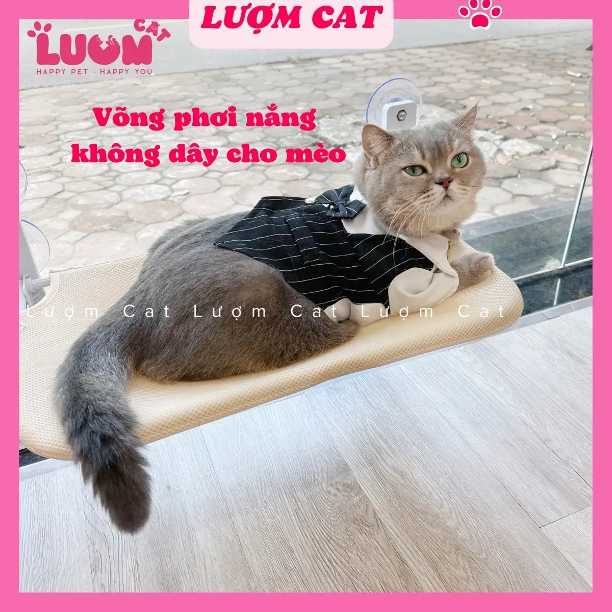 Võng treo cửa sổ cho mèo tắm nắng (loại lớn) chơi thư giãn gắn kính không dây cao cấp chắc chắn Lượm Cat