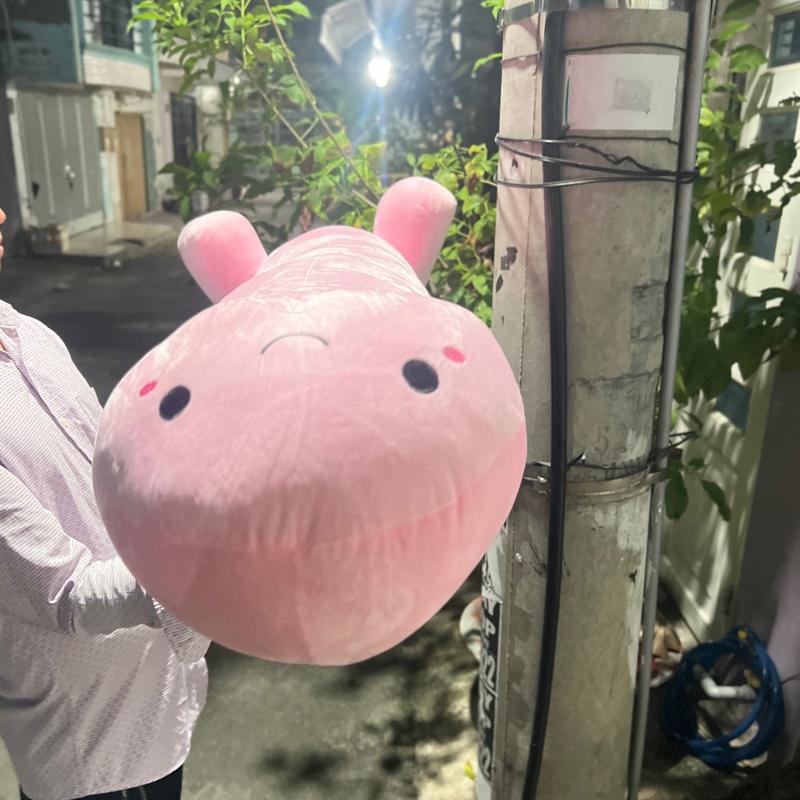 Gấu bông cậu bé kiu kiu cushin, ciu shin có 3 màu hồng, nâu, da Bộ quà tặng Thú Bông Thú Nhồi Bông Toy Đồ Chơi Voi Phát Nhạc