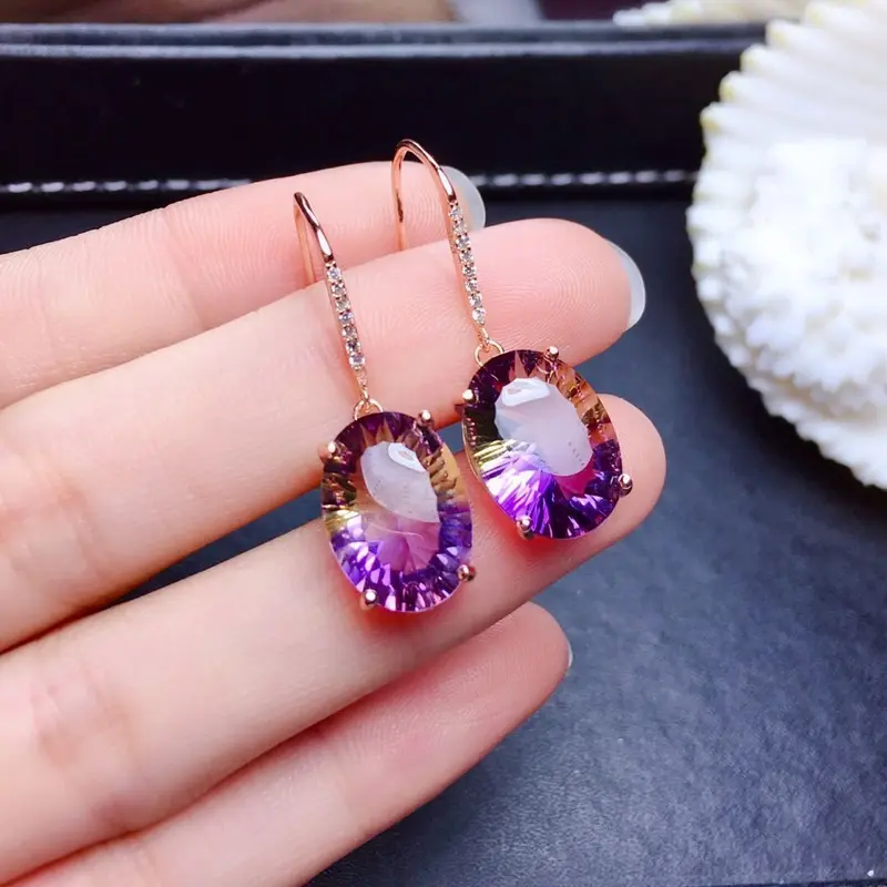 Hoa Tai Màu Tím Pha Lê Đơn Giản, Kim Bạc Mới, Giá Cả Phải Chăng, Thời Trang Cá Tính số lượng ít, Cao Cấp Và Thanh Lịch, Thời Trang Cổ Điển Hoang Dã, Được 731 Người Vinh Danh 5