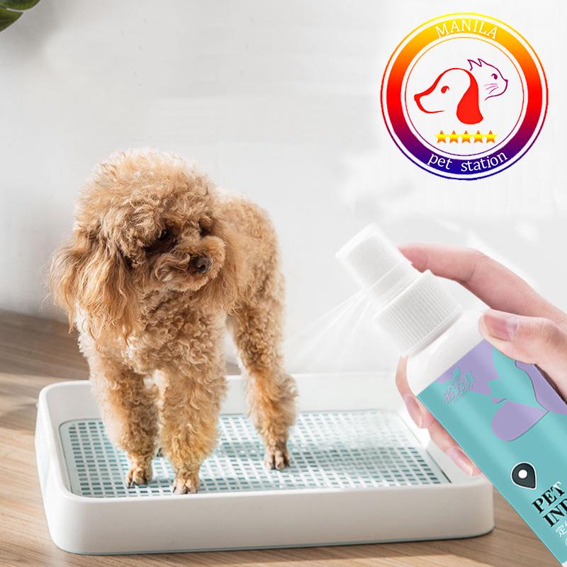 120ml Pet Defecation inducer Dog Pee Inducer Guided Toilet - TikTok ...