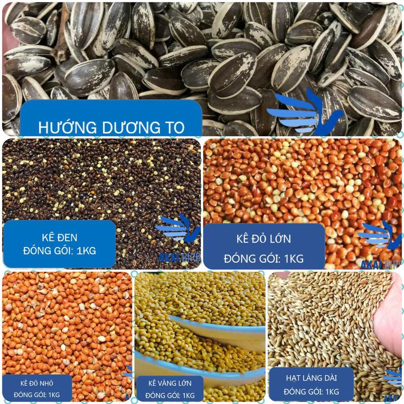 Hạt Kê - Hạt Mix - Các Loại Hạt Cho Vẹt, Hamster, Sóc, Chuột Lang...