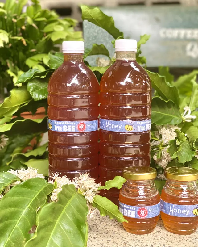 Mật ong hoa cà phê Arabica-1000ml Vị Mật Ong 0