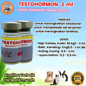 testohormon 2 ml