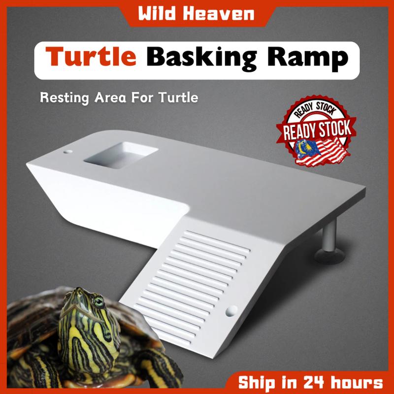 Turtle Basking Ramp Resting Area With Cave Tortoise Platform - TikTok ...