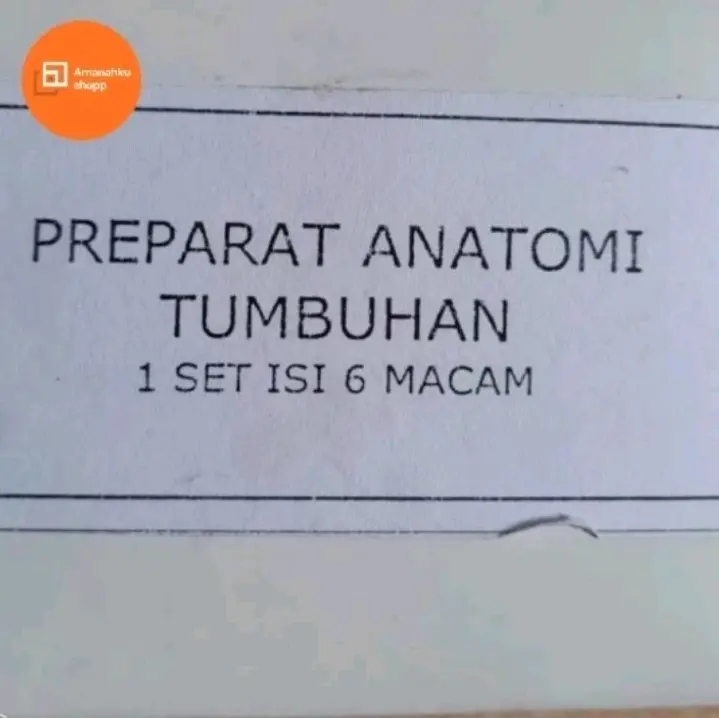 Preparat Anatomi Tumbuhan (isi 6 macam)