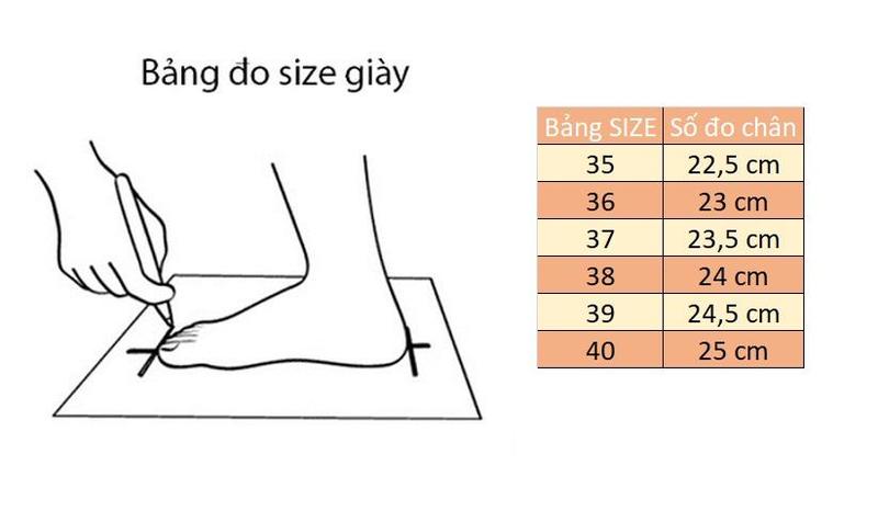 Product Introduction of (Tăng 1 size) T.Y.T Store - Giày nữ (đế độn 8cm) thể thao nhẹ hottrend 2024 - GTT.53 Sneaker Shoes  ( giay quang chau ) 0