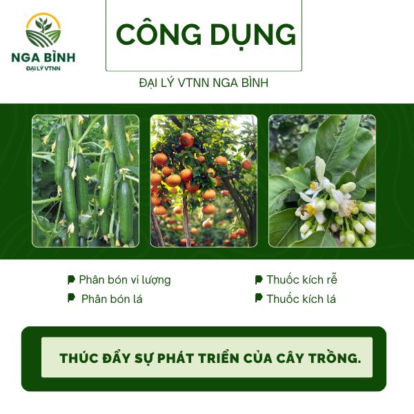 Phân bón lá LÂN 86 - Phát triển rễ, xanh lá, mướt cây 1KG 4