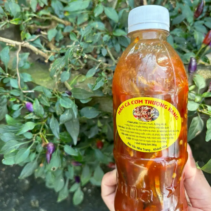 6 Chai Mắm Nêm Cá Cơm Thượng Hạng Đặc Sản Nha Trang Khánh Hòa, 1 Chai 380gram, Nước Sốt Gia Vị, ít Cay, Không  Chua 4