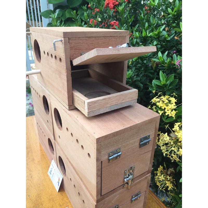 Tổ gỗ có hộc dành cho vẹt nhỏ như lovebird yến phụng parrotlet,... bạc má