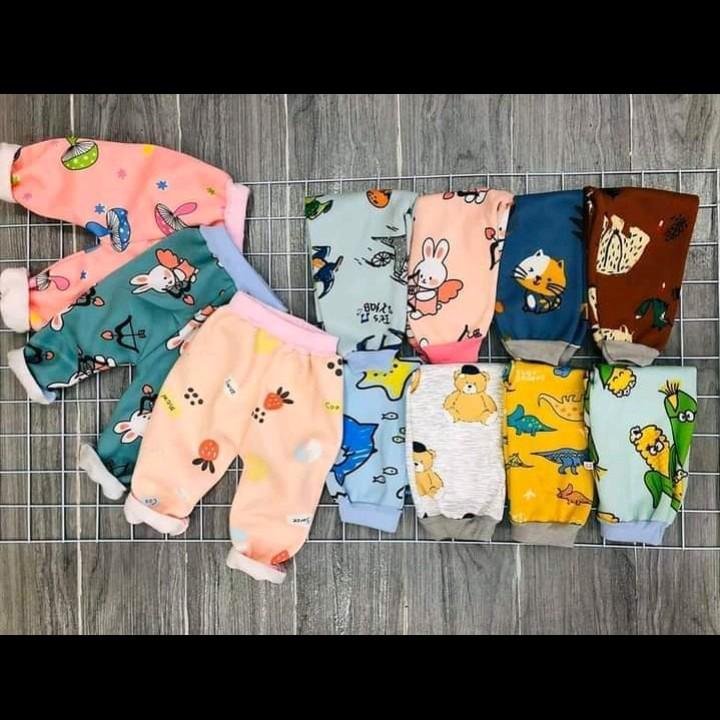 combo 5 quần nỉ cho bé trai bé gái