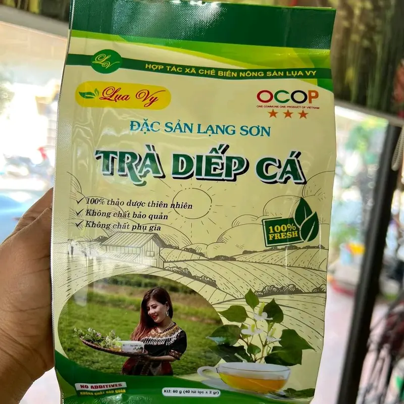 (gửi thêm 5 túi trà ) Trà diếp cá Lụa Vy gói to 40 túi lọc - Đặc sản Lạng Sơn, Nước Trà, Tea 3