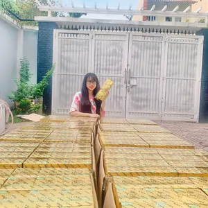 NGỌC CHUYÊN SỈ BÌNH DƯƠNG