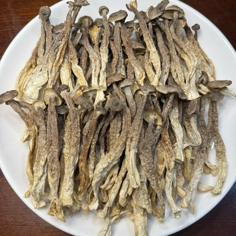 [500g+quà]Nấm lộc nhung nguyên cây loại 1 không gãy vụn tặng 100gr táo đỏ 1