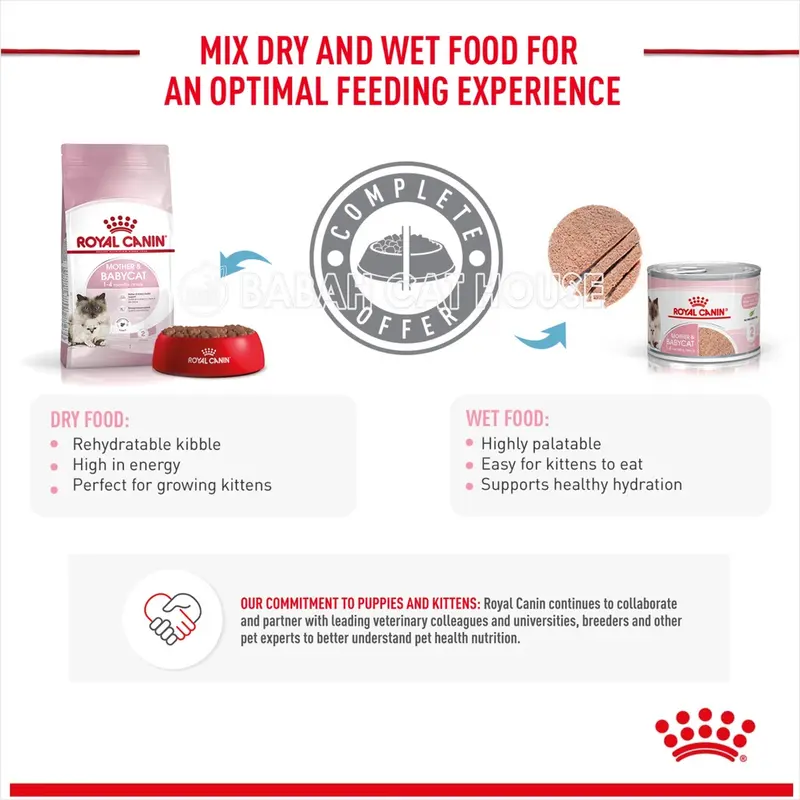 KALENG 195gr ROYAL CANIN MOTHER AND BABY CAT Wet Food Rc Kitten Pouch Makanan Kucing Basah Untuk Induk Anak Bayi Baru Lahir Anakan Menyusui Umur Usia 0 1 2 3 Bulan Can Hair & Skin Kiten Dr 4