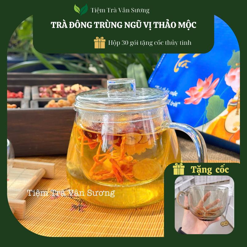 [Ưu đãi] Combo 2 hộp trà đông trùng ngũ vị thảo mộc tặng 1 cốc thủy tinh giúp an thần ngủ ngon, bồi bổ khí huyết, dưỡng nhan, nước trà tea chè, Tết