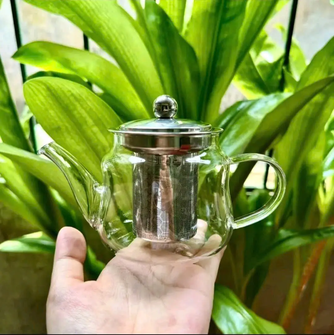 Ấm trà thuỷ tinh có lõi lọc 300ml