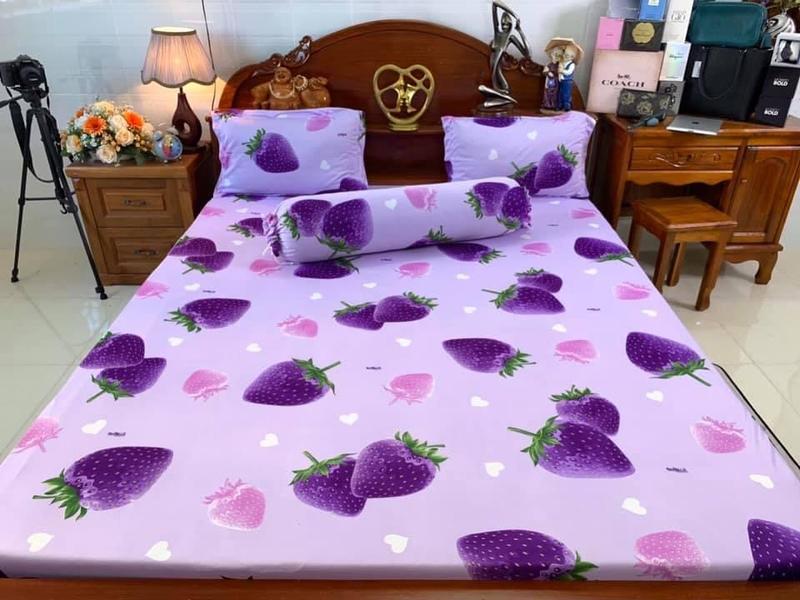 Bộ ga thun Hàn quốc mẫu dâu 0