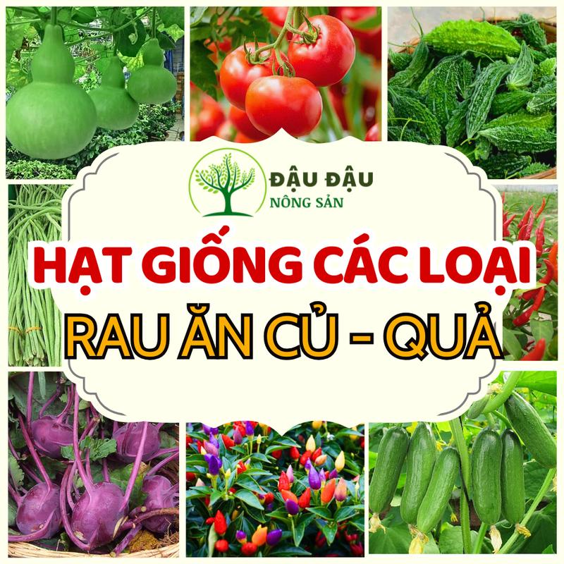 Hạt giống Rau ăn Củ - Quả các loại - dễ trồng, trồng quanh năm