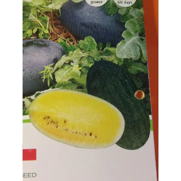 Sugar Deluxe F1 (35 seeds) Hybrid Yellow Watermelon / Pakwan by East ...