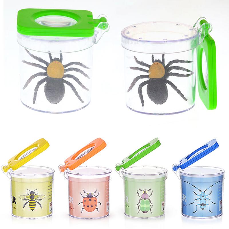 KYE - Animal Observation Tools Portable Small Animal Viewer Catcher ...