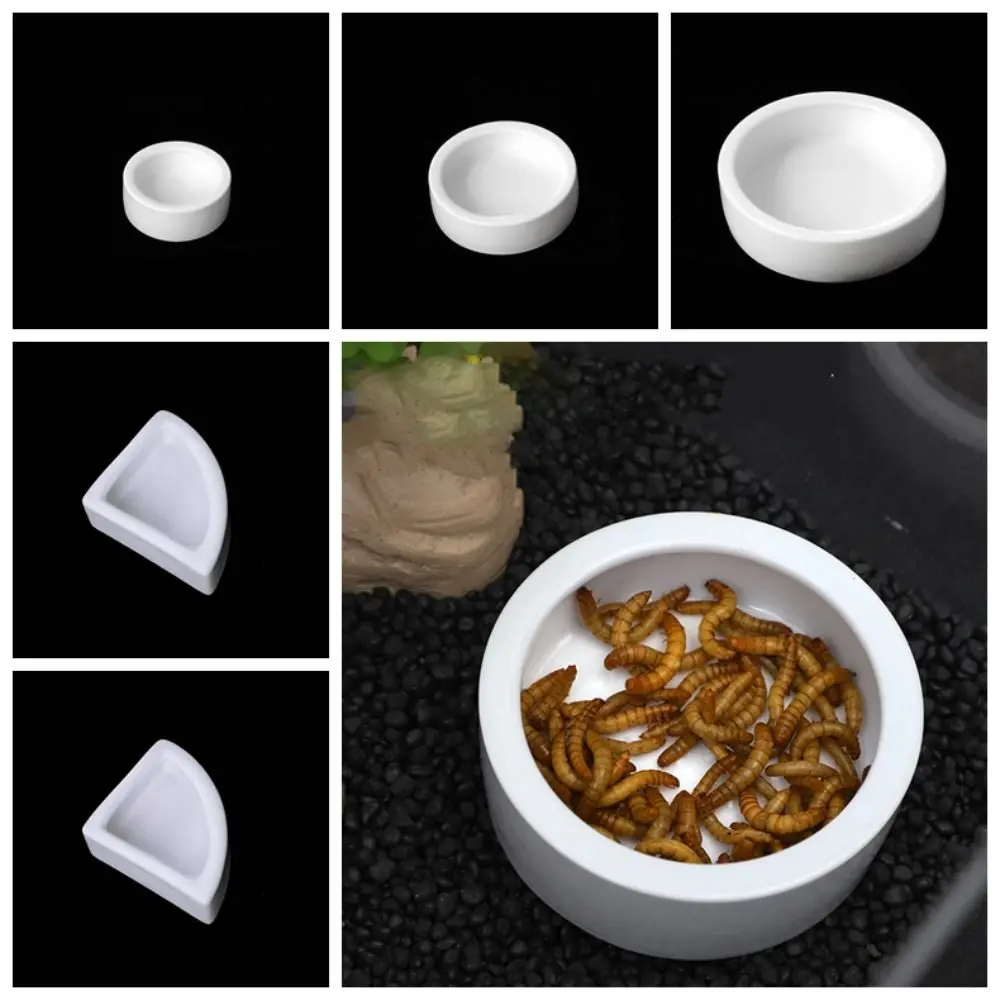Creative Ceramic Lizard Bowl Escape Proof Round Reptile Feeding Dish Aseptic White Food Container Amphibians