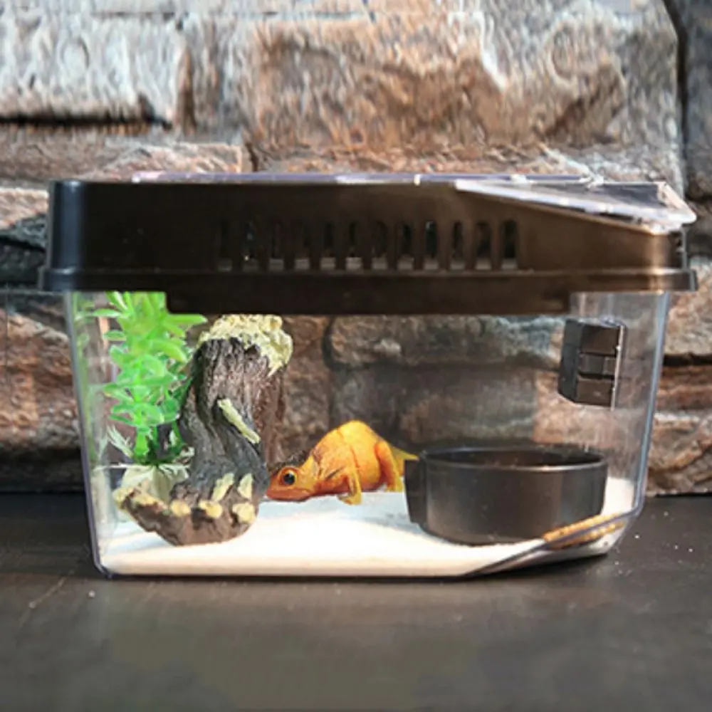 Insect Viewing Box Transparent Anti-escape Reptile Terrarium Tank Flip Cover Type Anti-escape Reptile Carrier Box Plastic Lizard Grow Box Gecko
