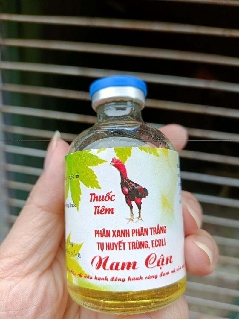Product Introduction of phân xanh phân trắng tụ huyết trùng nam cận 3