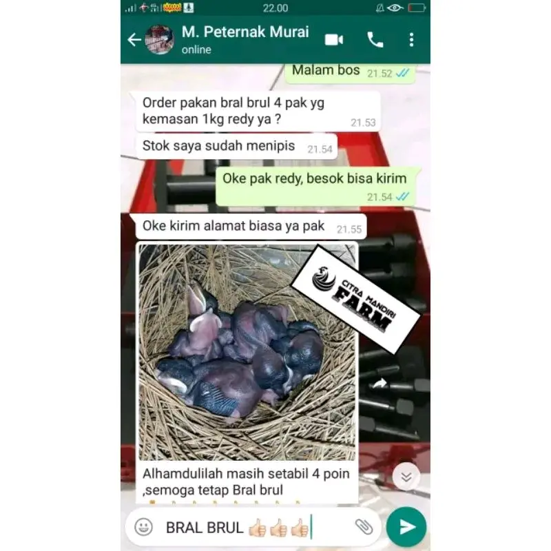Pakan BRAL BRUL Khusus Jangkrik Ulat & Kroto Untuk Indukan Burung Murai Kacer Goci Cucak Anis - 1.000 Gram 3