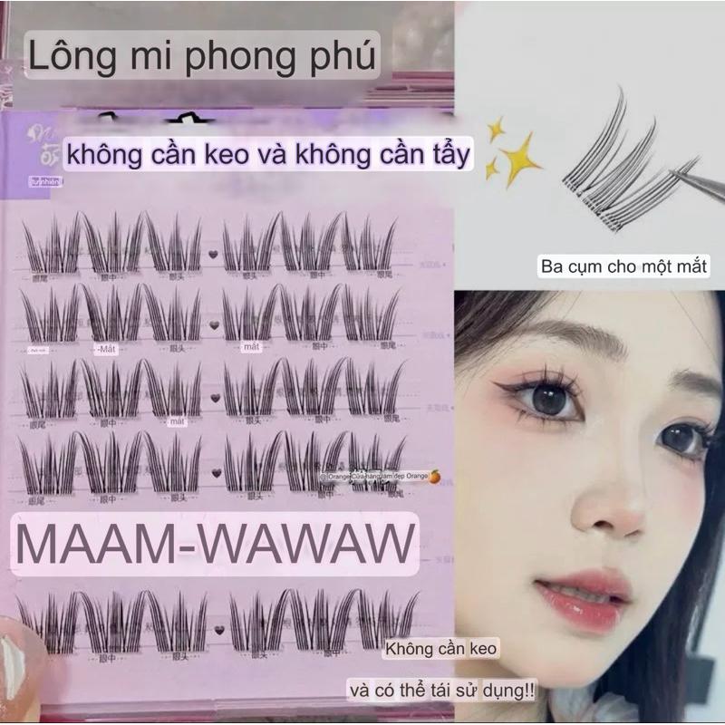 Mi 3 móng vuốt mèo gắn theo khóm dễ gắn ( mi chưa keo ) chất mềm như tơ lụa