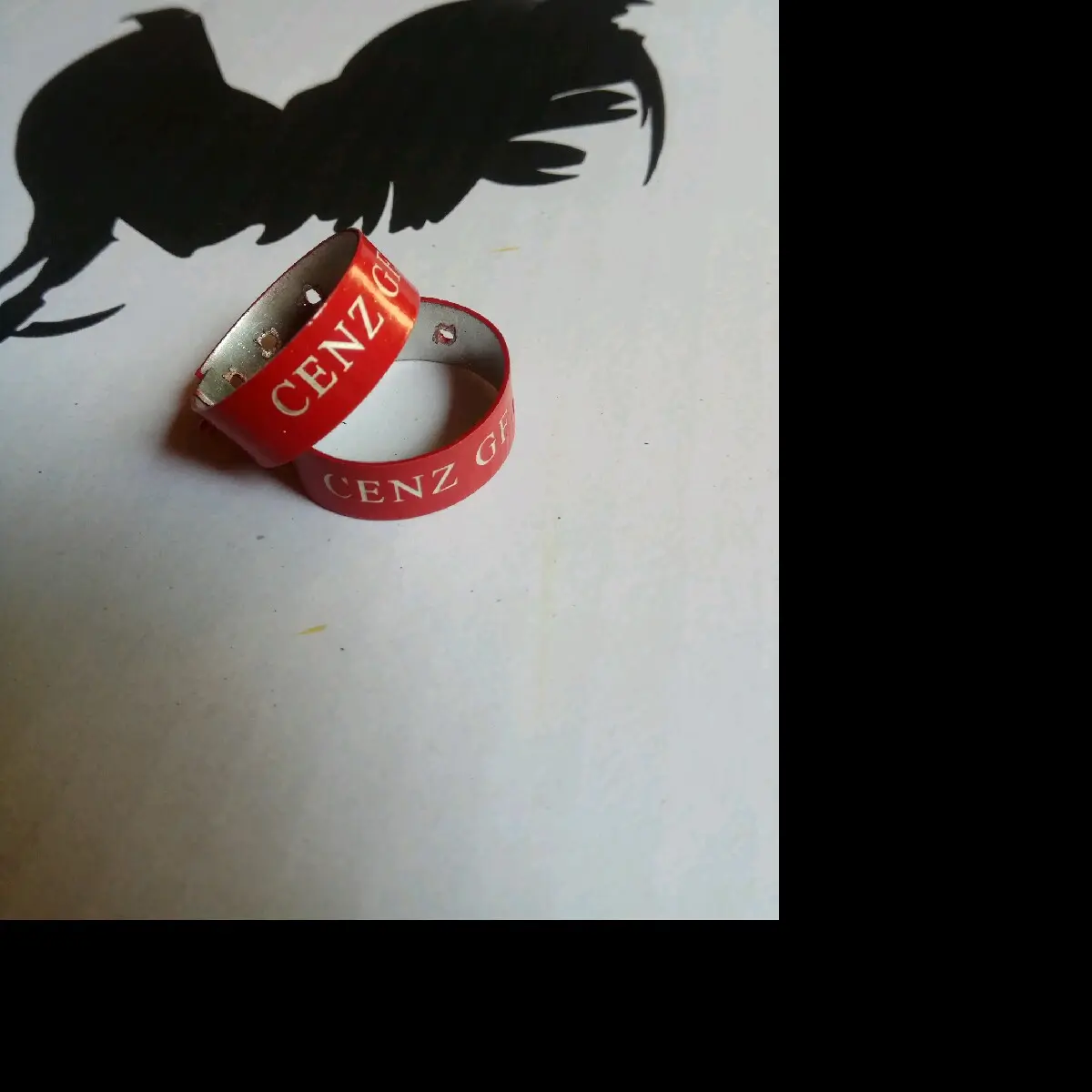 GELANG AYAM SEGEL KAKI
