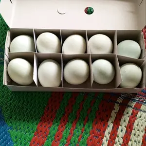 Paket cemilan dan lauk Telor Asin Tiga Bintang original kemasan isi 10 butir Alami