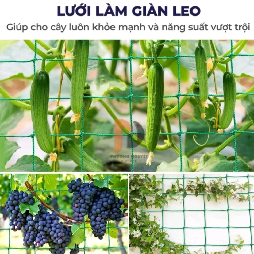 Lưới làm giàn leo cây ,mướp ,bầu ,bí ,nho ...