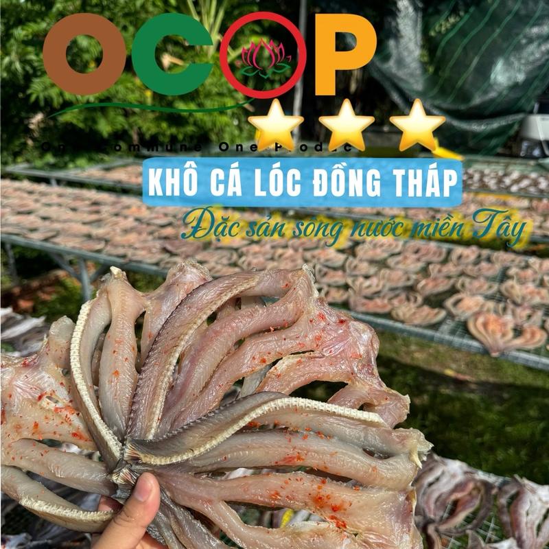 1 KG KHÔ CÁ LÓC ĐỒNG THÁP (Đạt chuẩn OCOP 3 sao)