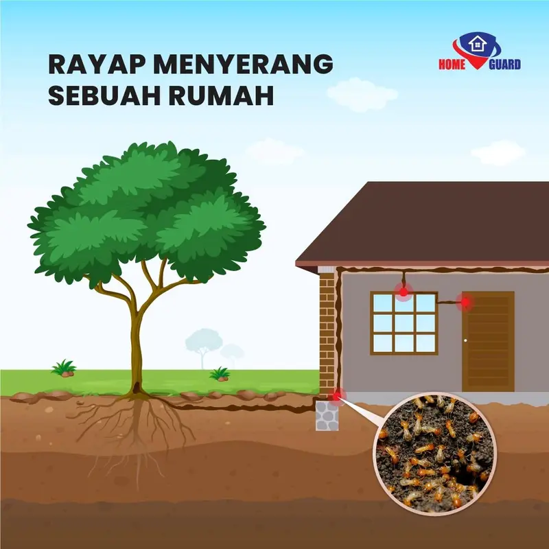 Home Guard Anti Rayap Cairan Pengusir Rayap Perlindungan Jangka Panjang - 100ml 4