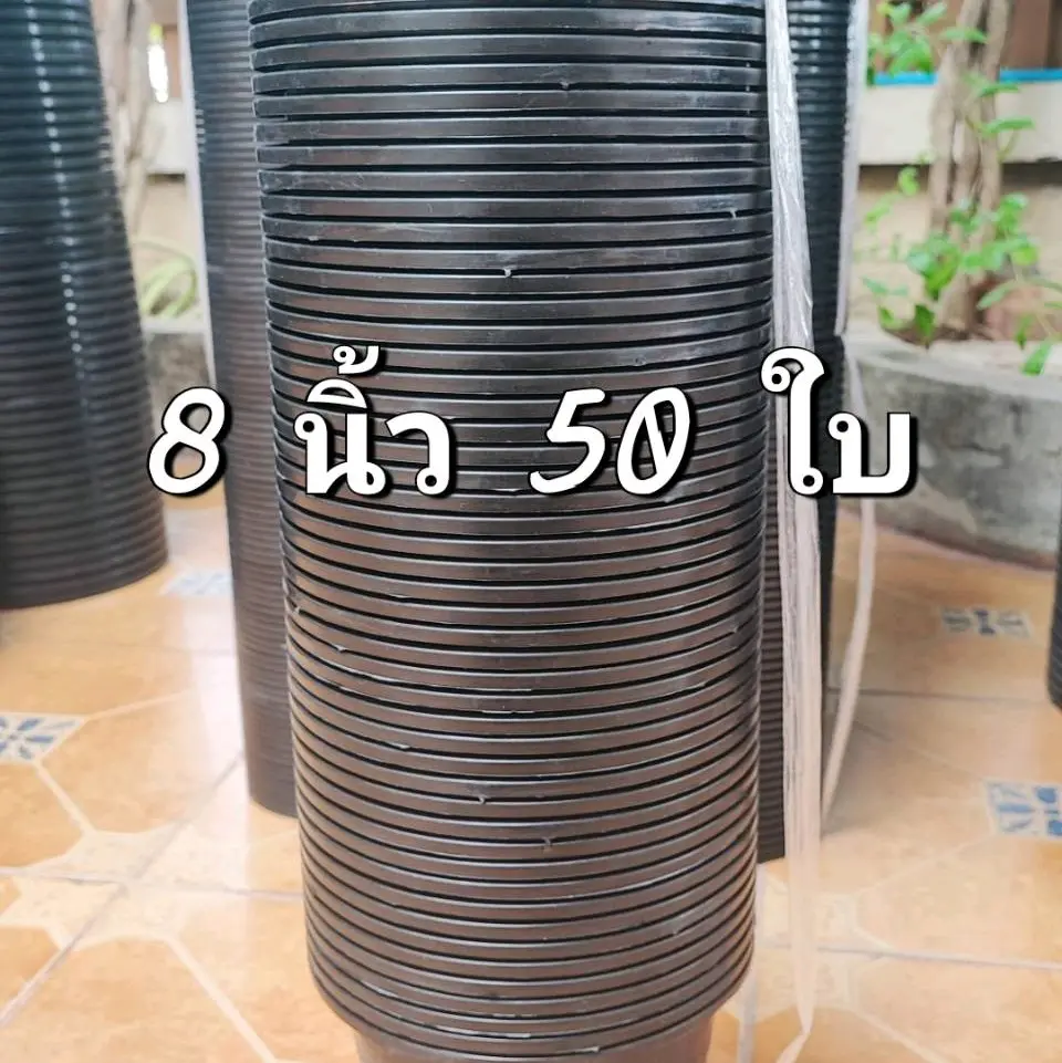 กระถาง 8 นิ้ว ยกมัด 50 ใบ สินค้าพร้อมส่งทันที