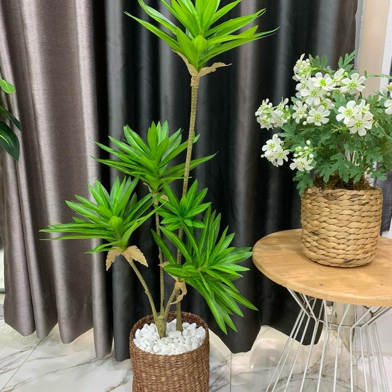 Cây thuỷ trúc cây phát lộc 90cm giả cắm lên chậu cao 1m cây giả trang trí,decor phòng Trang Trí Nhà Decor Bàn