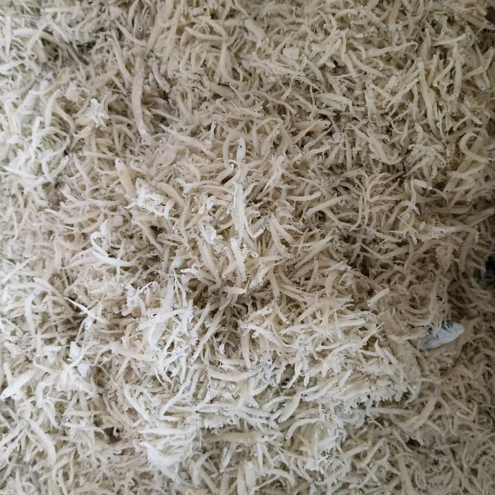 [COD] IKAN ASIN TERI NASI ASLI MEDAN 500GR 3
