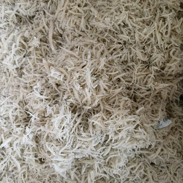 [COD] IKAN ASIN TERI NASI ASLI MEDAN 500GR 3