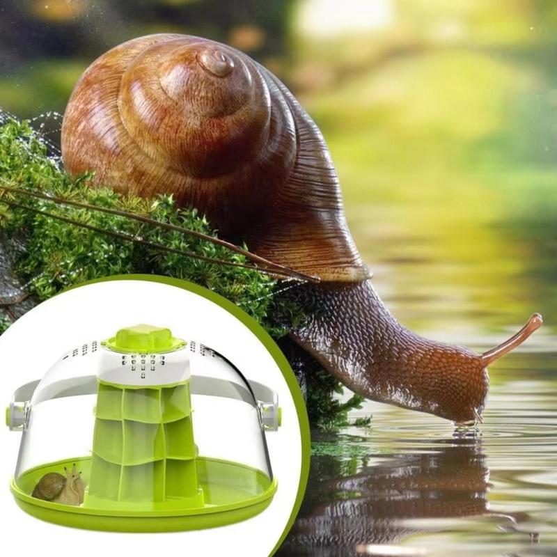 Product Introduction of Spacious Breathable Snails Breeding Tank Transparent Removable Insect Feeding Bin with Handle Prevents Escape Reptile Observing Box Lizard 12