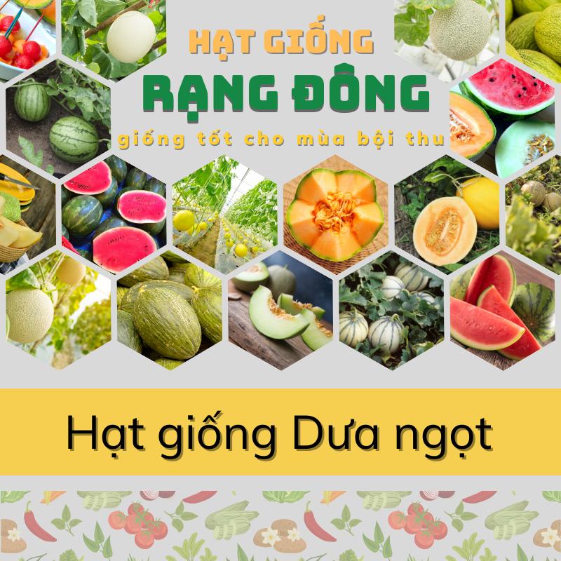 Hạt giống Dưa hấu, Dưa lê, Dưa lưới, Dưa leo - Dây leo ăn quả ngọt trồng quanh…