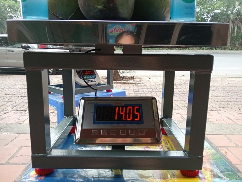 Cân ghế điện tử 300kg đầu trọng lượng siêu bền. BH 2 năm