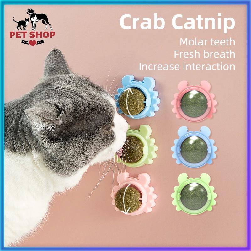  Bóng đồ chơi Catnip cỏ bạc hà mèo đồ ăn nhẹ cho mèo cat  food 