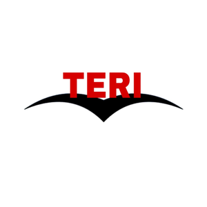 Teri accessories