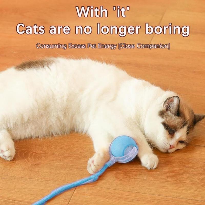 Product Introduction of Interactive Automatic Smart Cat Toys Rechargeable Fast Rolling Dog Cat Training Ball Indoor Playing Imitate Mouse Tail Kitten Teaser Game Toy Pet Supplies 17