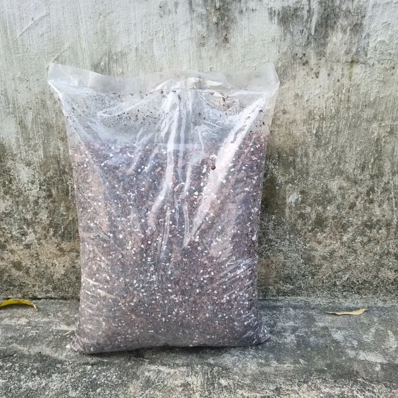 giá thể trộn sẵn cao cấp 6 trong 1 bao 4kg . chuyên cho lan đột biết, lan kiếm, phi điệp, đơn thân và cây cảnh 5