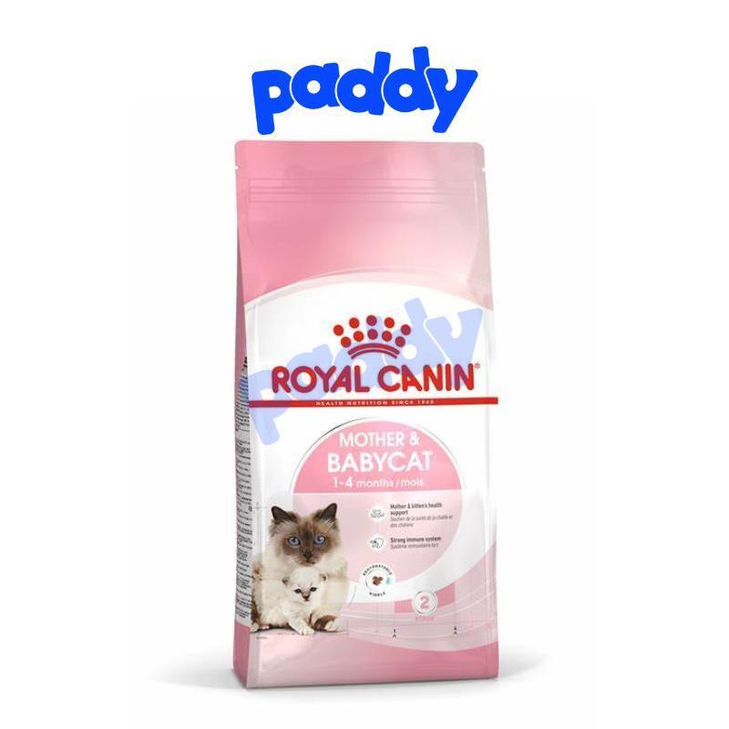 Hạt Cho Mèo Mẹ & Mèo Con Royal Canin Mother & Babycat