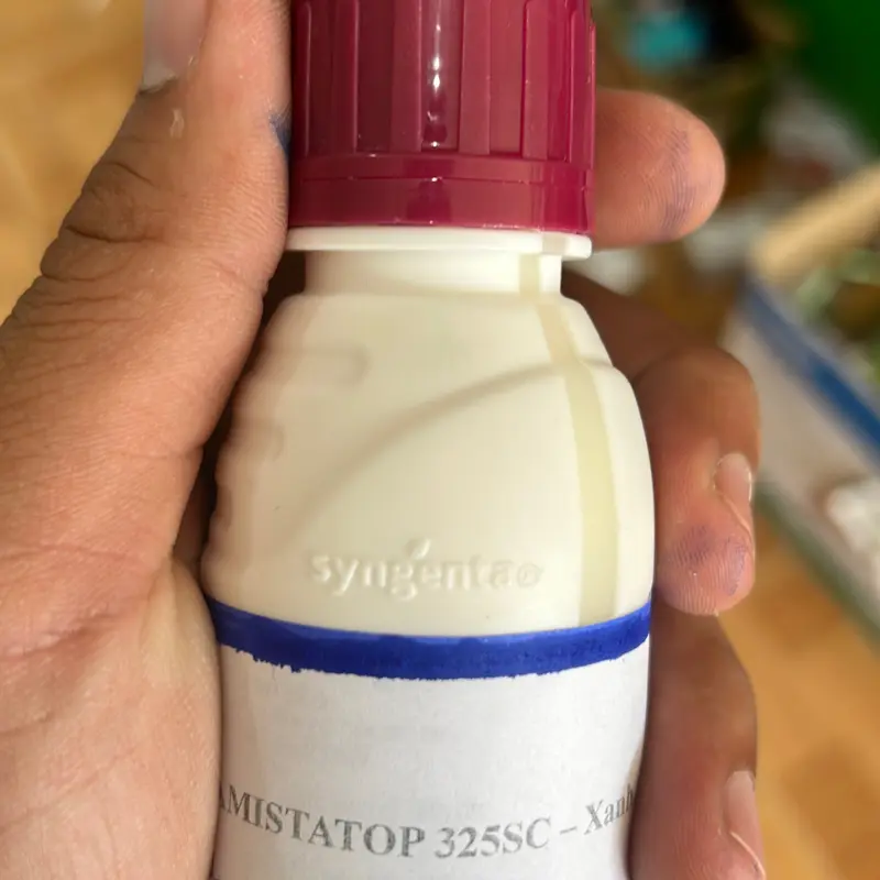 Phân bón amistatop - chai 100 ml - xanh cây tốt lá - chống vàng lá 3